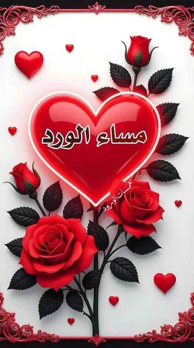 Salem Gomaa/سالم tweet media