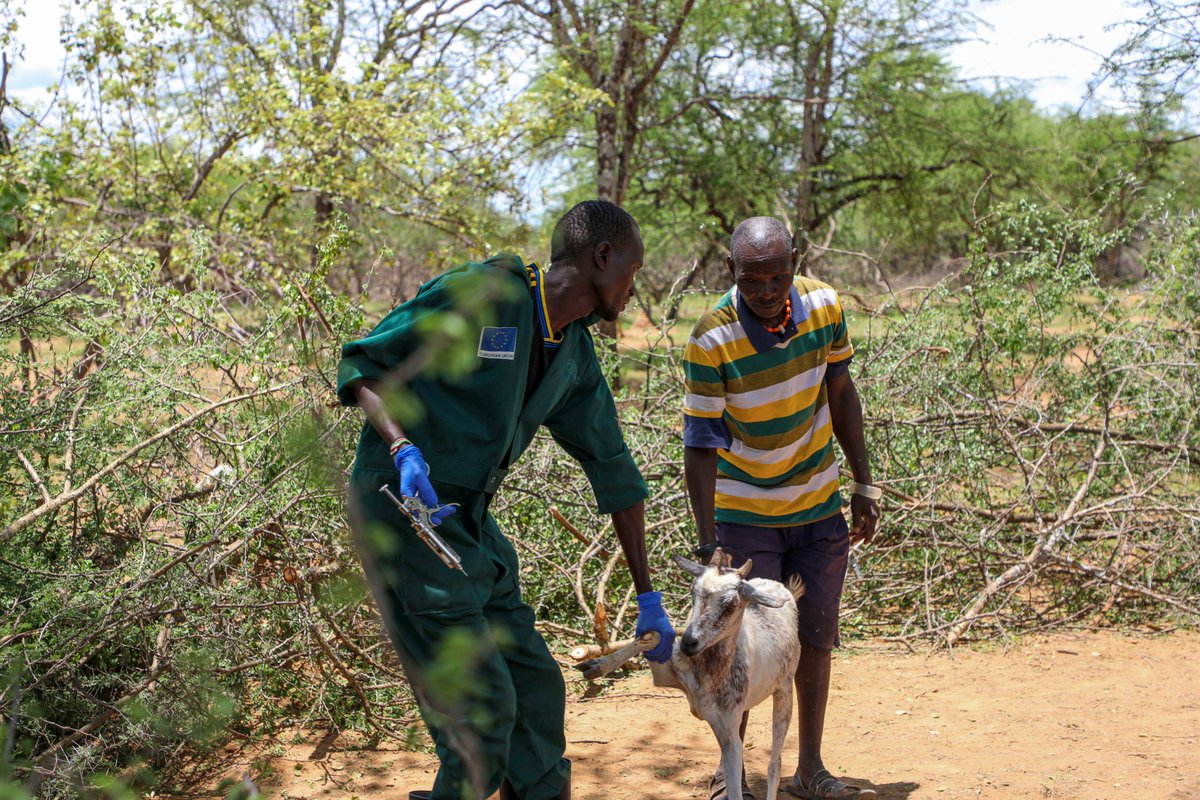 FAO in Uganda tweet media