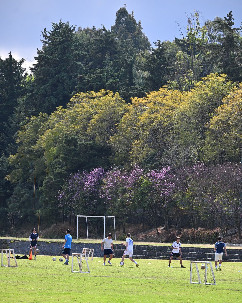 UIC Universidad Intercontinental tweet media