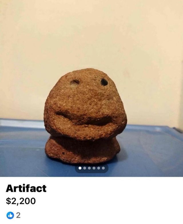 horse dentist tweet media