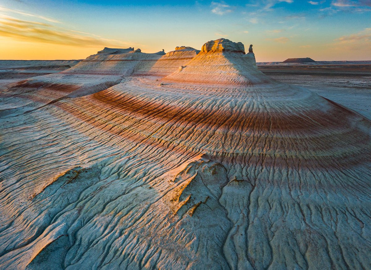 Wikimedia México tweet media