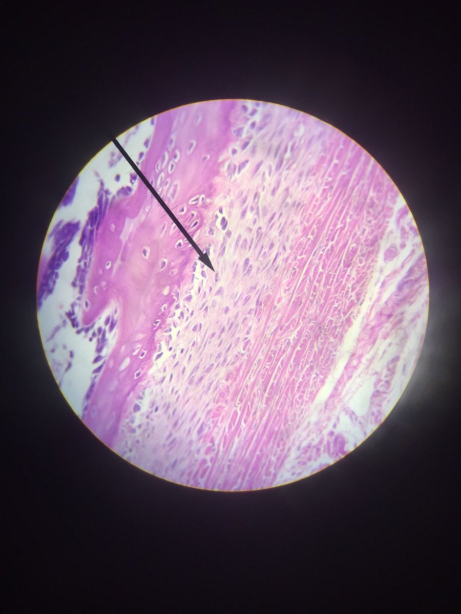 Alfred 🏄🏻‍♀️ tweet media