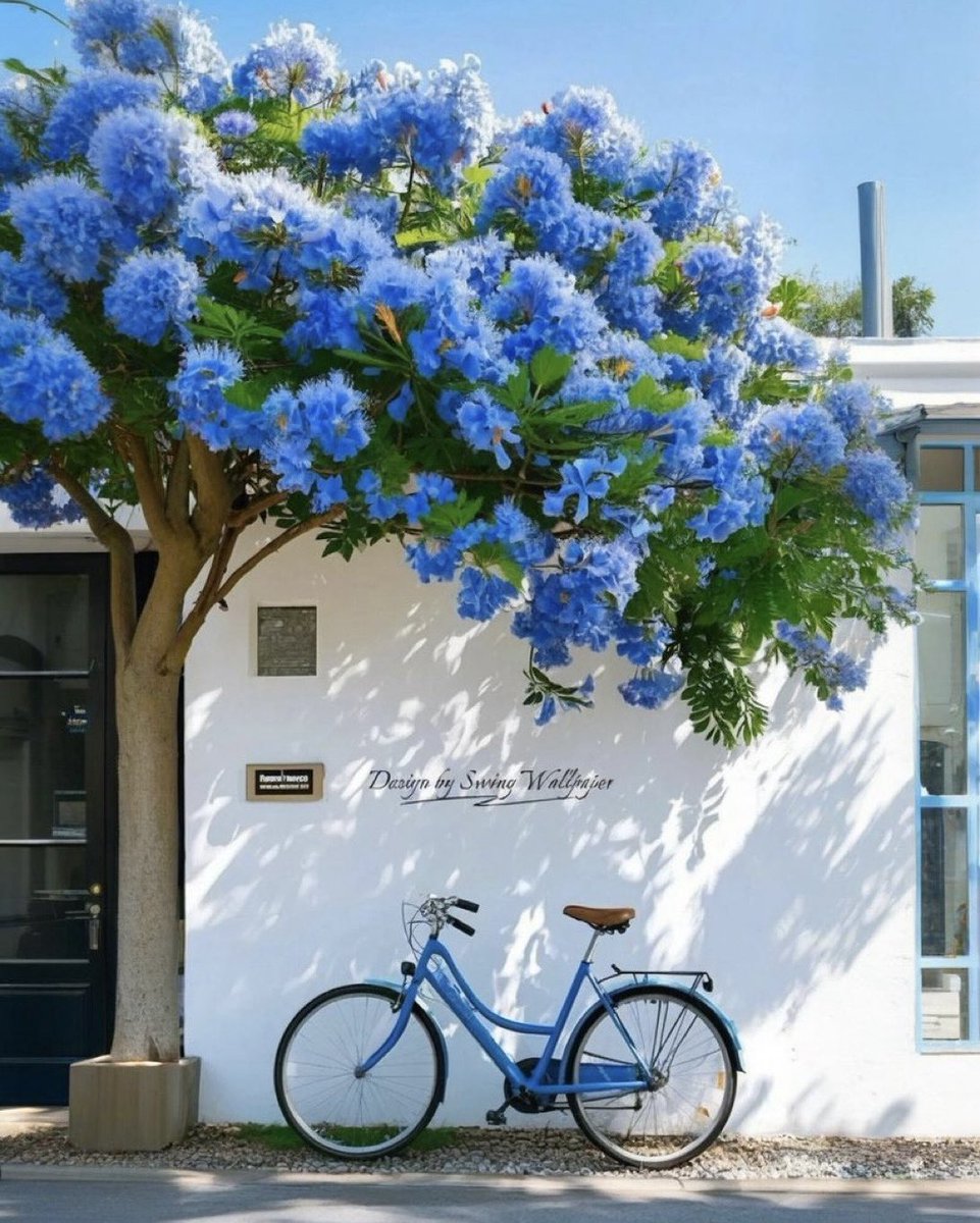 vent blau 〰️ tweet media