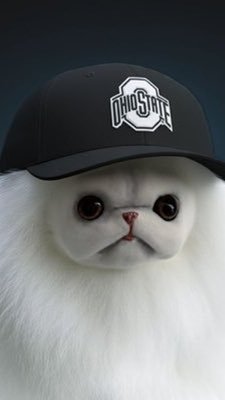 Meghan Rivera tweet media