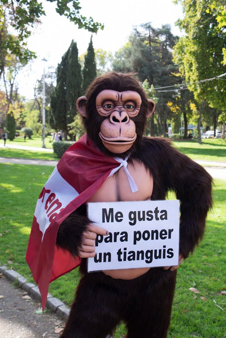 Jalcirco tweet media