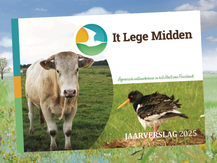 Lees het jaarverslag 2025 van gebiedscoöperatie It Lege Midden nu op onze website: ap.lc/zciyZ
