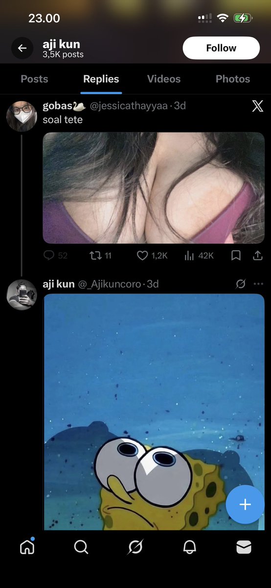 Pyori🐣 tweet media