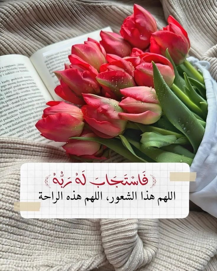 Al hamri🇸🇦 tweet media