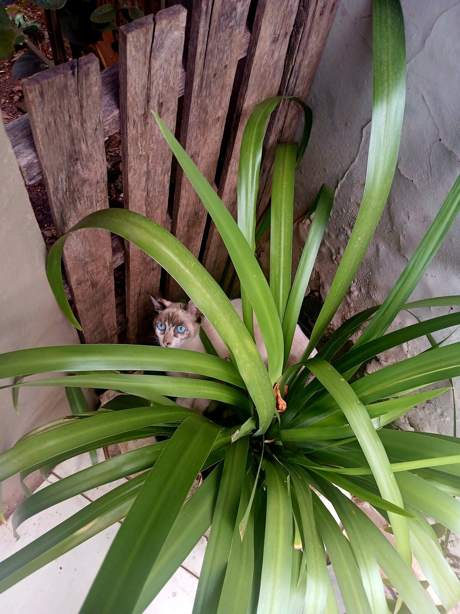 wa¥ne 🦇 tweet media