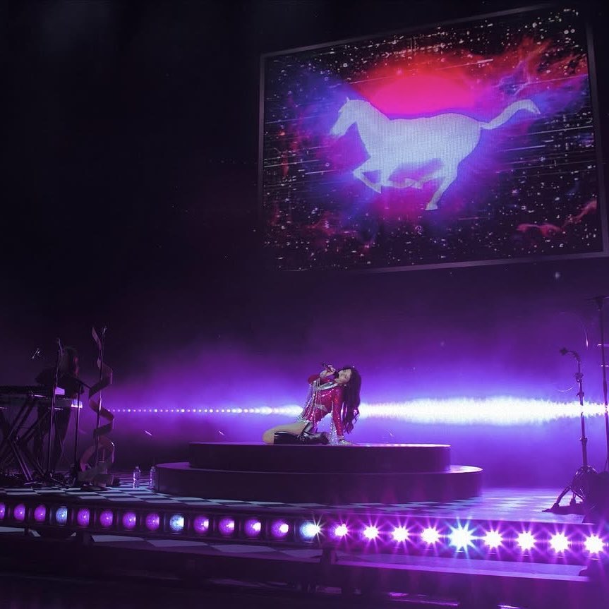 MARINA HQ tweet media