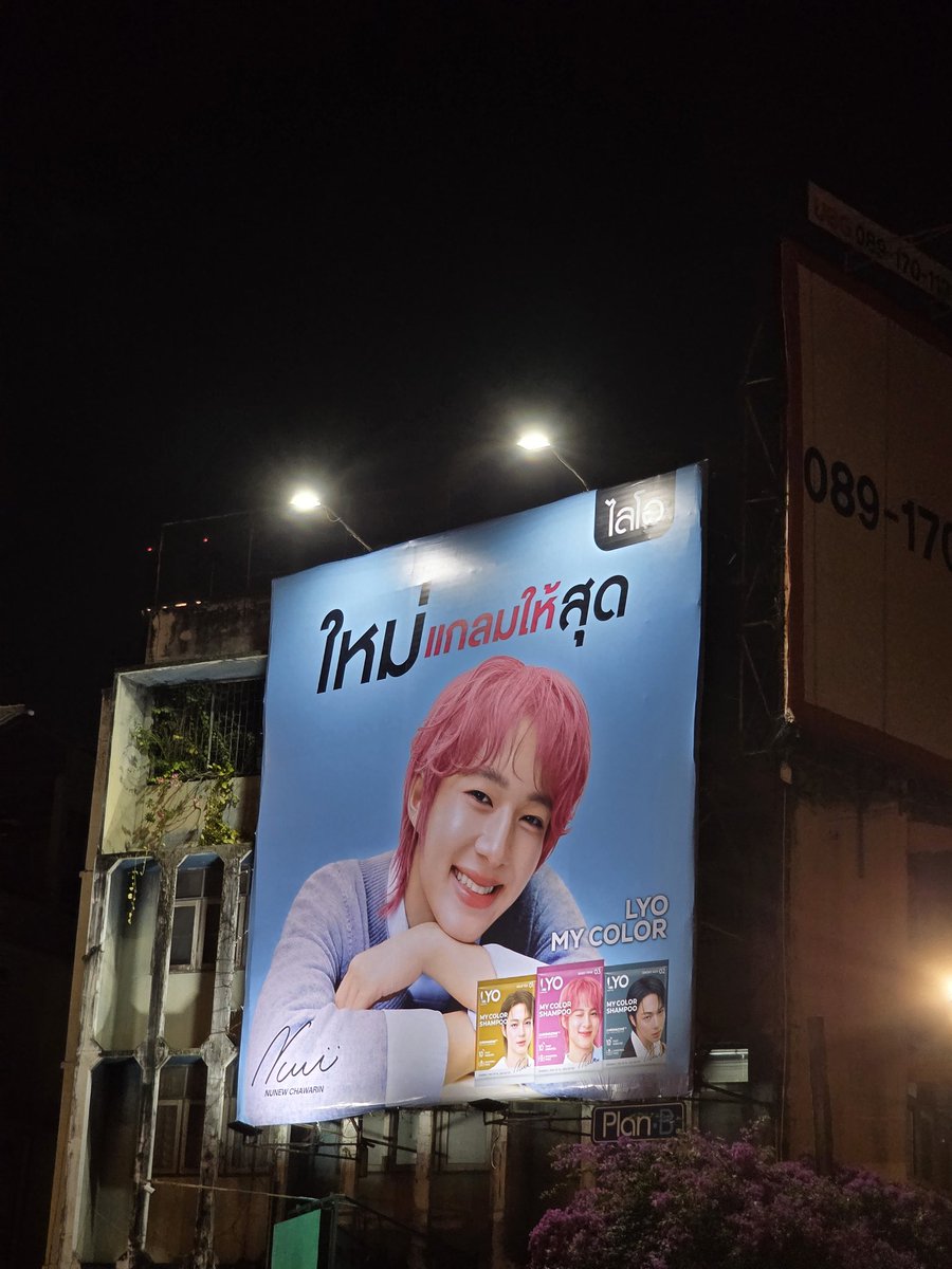 Totozilla tweet media