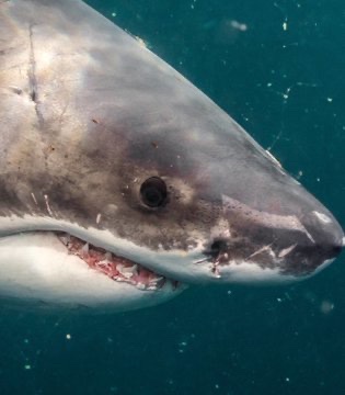 Pirat_Nation 🔴 tweet media