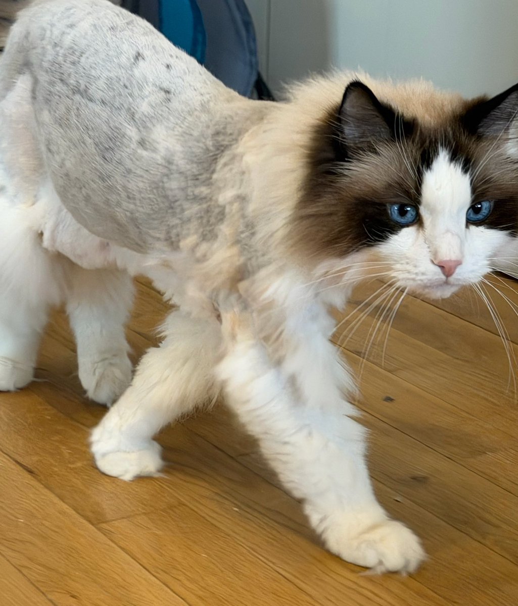 i am sam@มาสตรีม alter ego กันเถอะ✌ tweet media