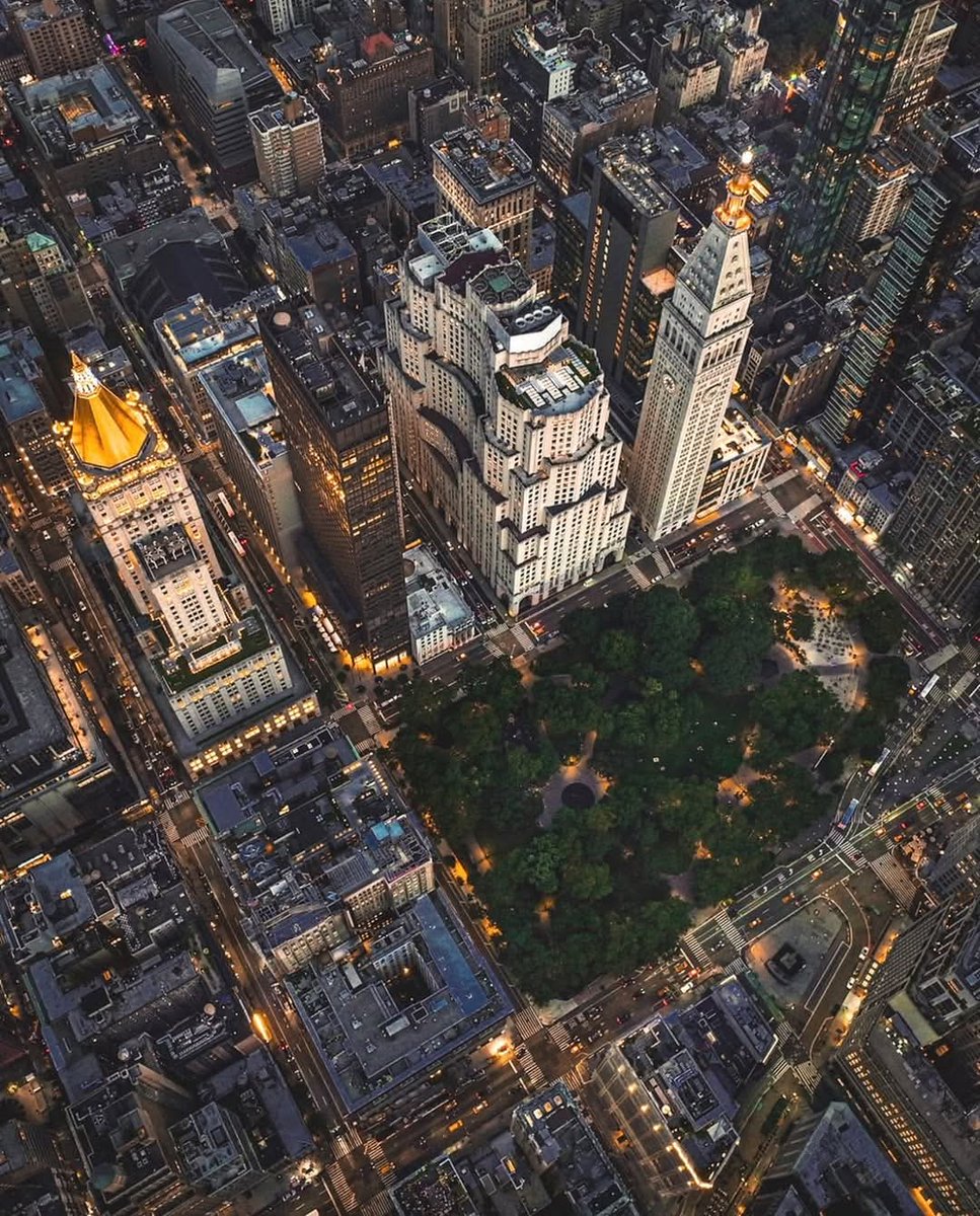 Wildscape Wonders tweet media