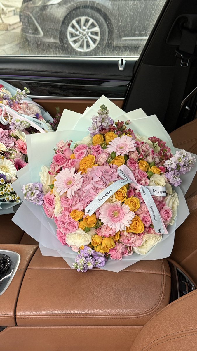 Poinciana|بونسيانا tweet media