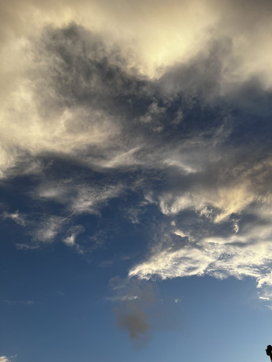 جوري tweet media