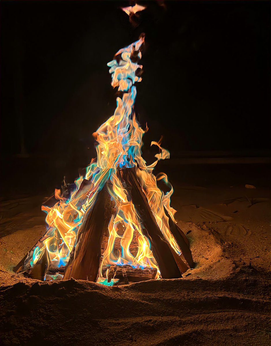 Melenie Bishop tweet media