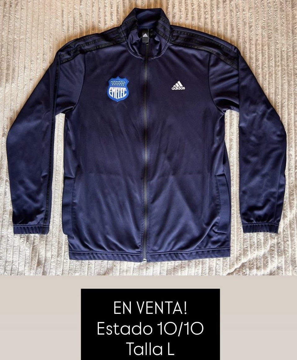 Gianpaolo D’Stteffano tweet media