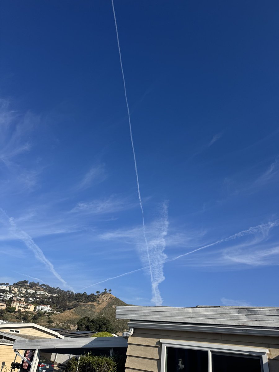 Thank God for Trump! tweet media