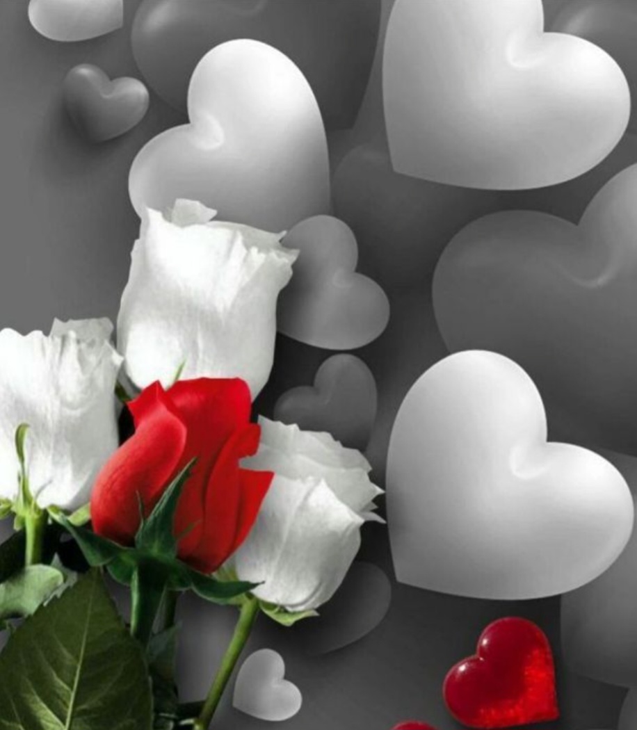 Oktay🇹🇷🇹🇷 tweet media