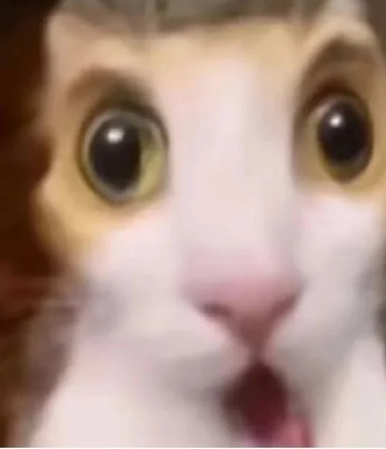 snow in summer tweet media