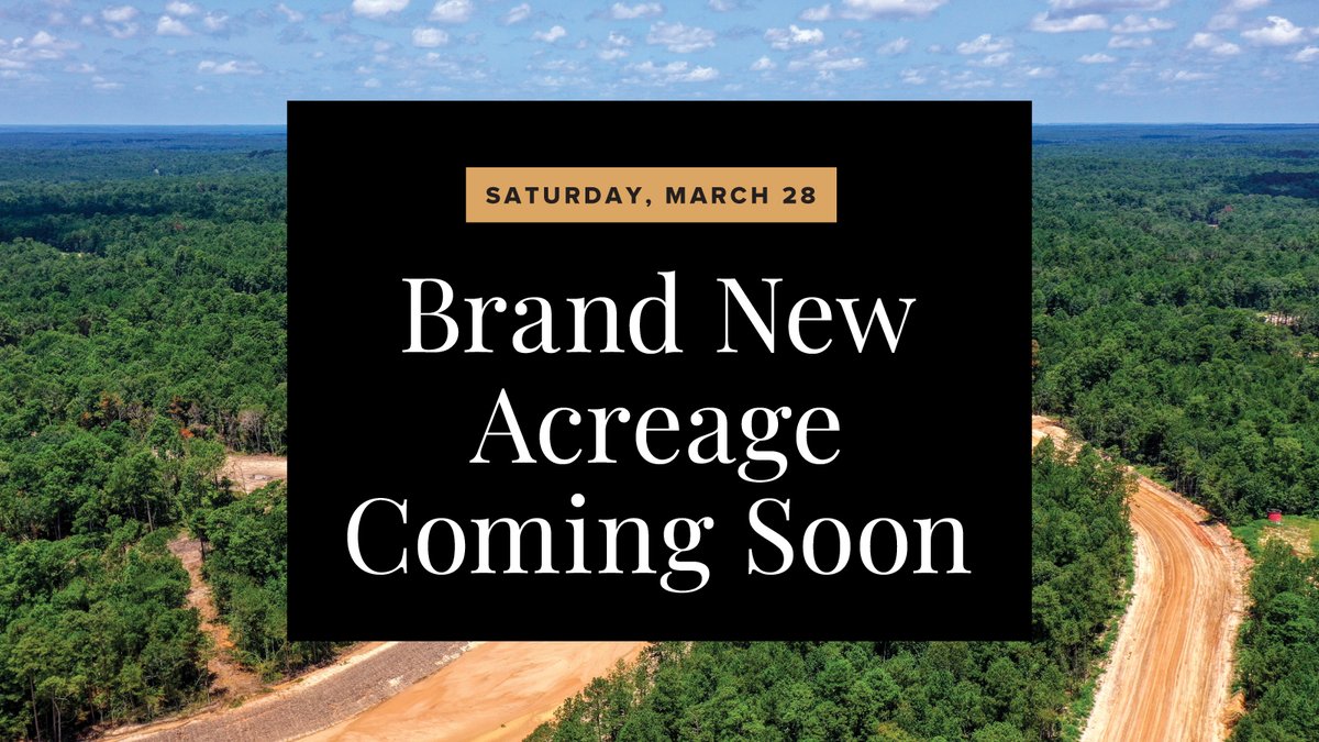 Patten Properties tweet media