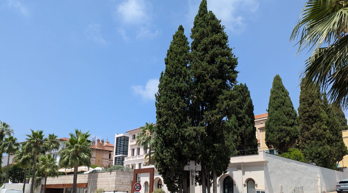 LeCannetVille's tweet image. Bon dimanche ☀️

#LeCannet #CotedAzurFrance #MagnifiqueFrance #jaimemaville