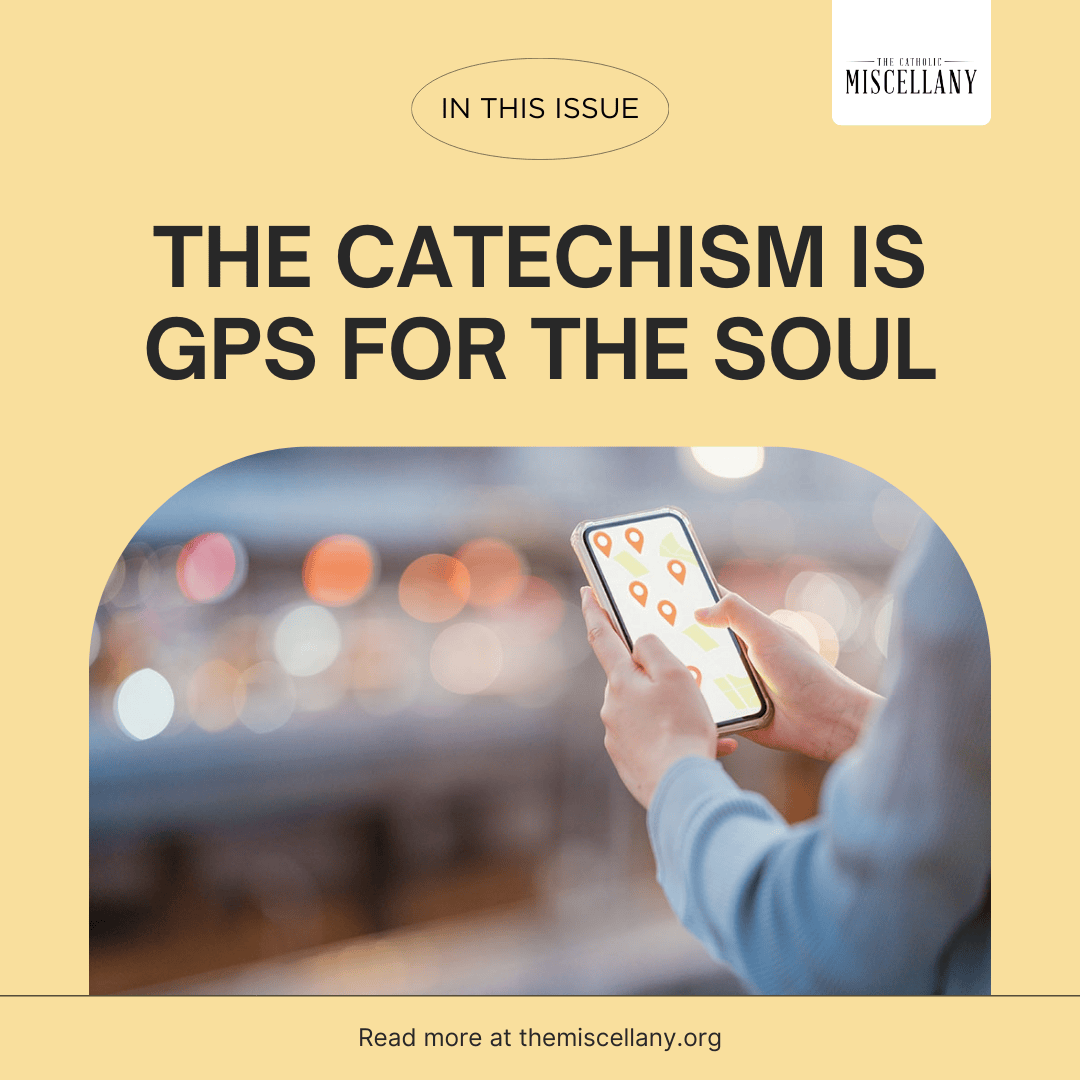 Diocese of Charleston tweet media