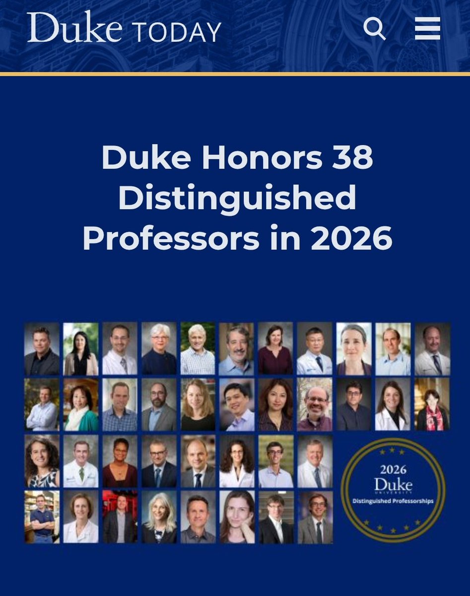 Lion In The Night tweet media