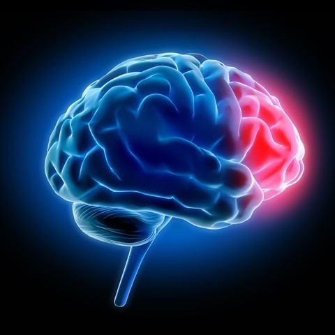 MerrimanLegal's tweet photo. As we observe Brain Injury Awareness Month, it's important to remember that falls are a leading cause of TBI hospitalizations. Whether it's a wet floor in a grocery store or a slippery sidewalk, we helps brain injury victims fight for accountability. https://t.co/h1CCyNBgbR https://t.co/88aTXqAdCN