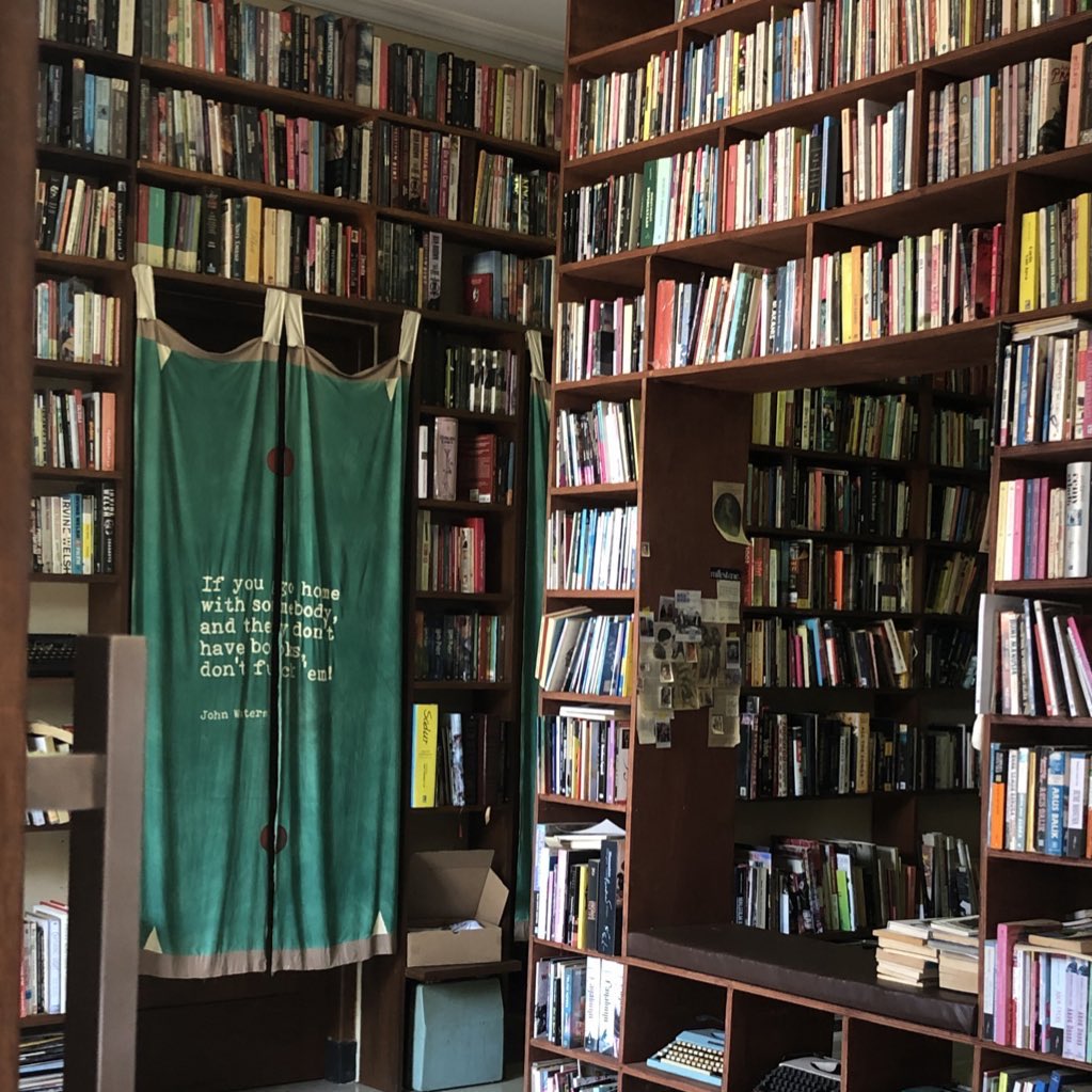 maeve ᓚᘏᗢ tweet media