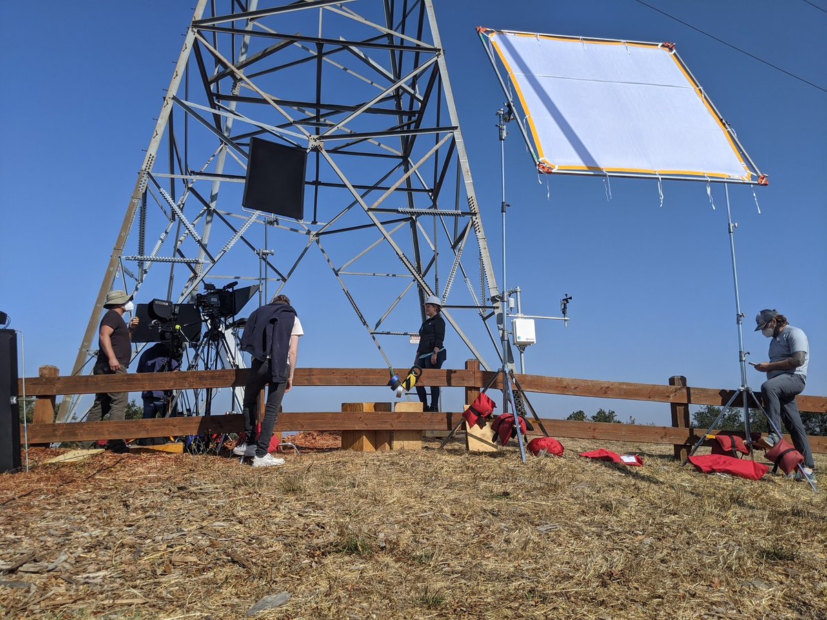 Utility Arborist Association tweet media