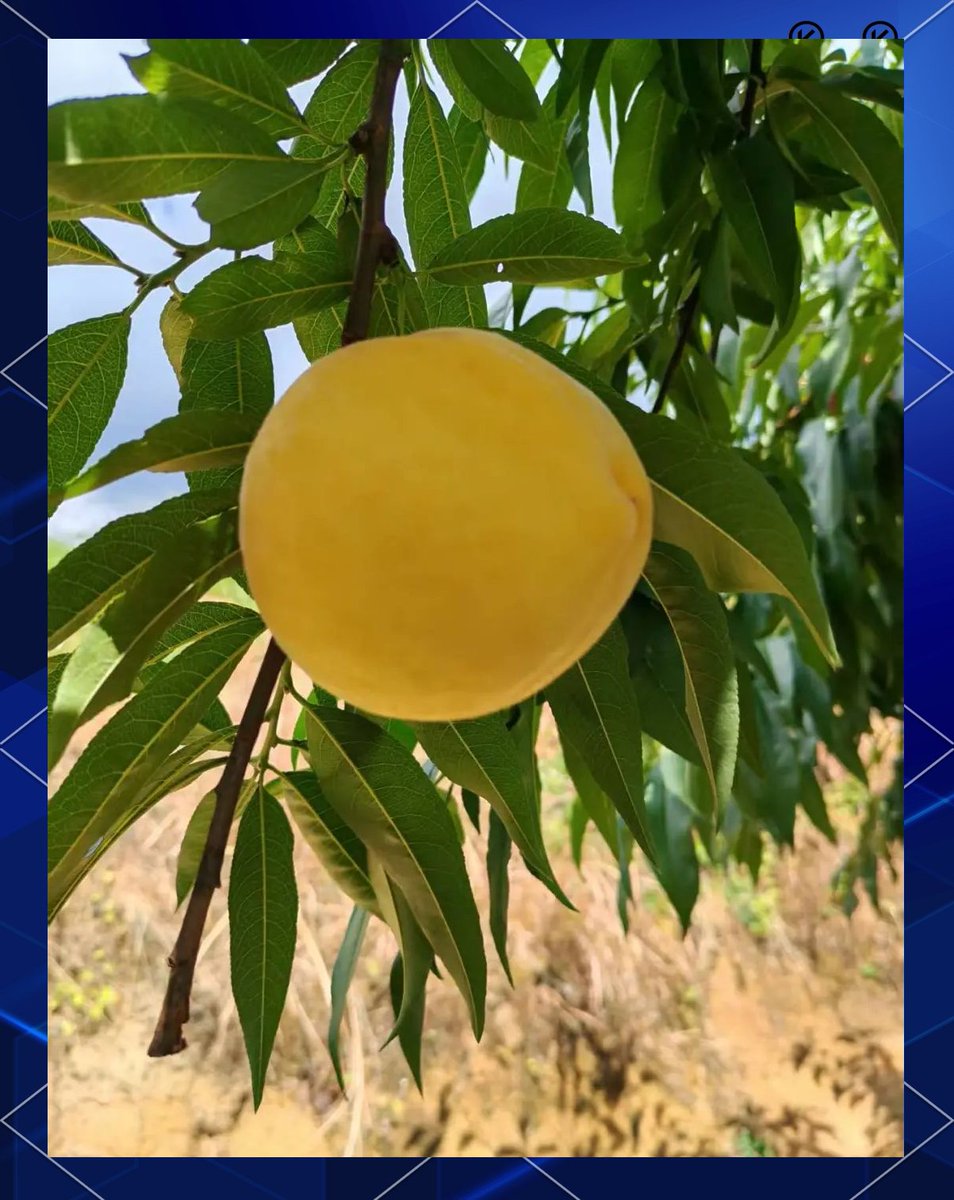 Beth Houck tweet media