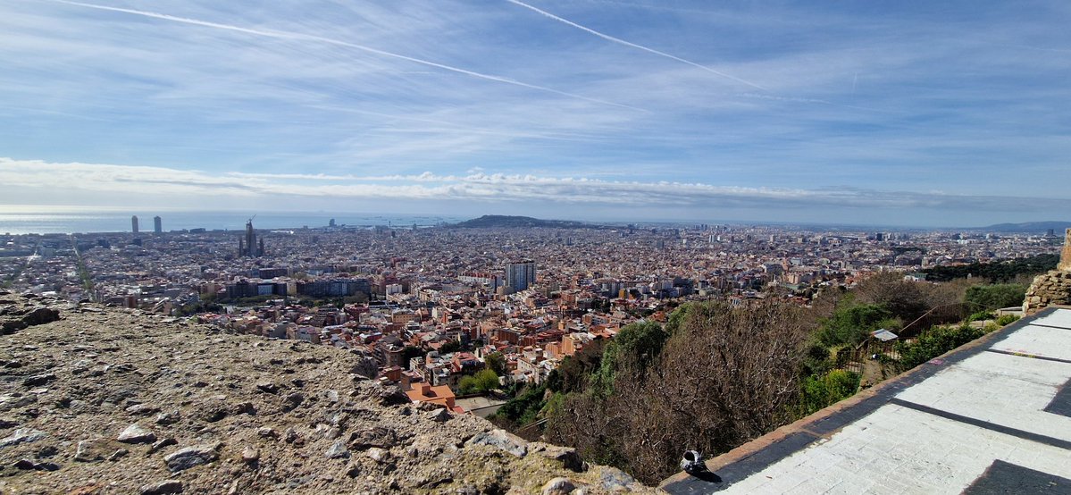 Insdrpuigvert tweet media