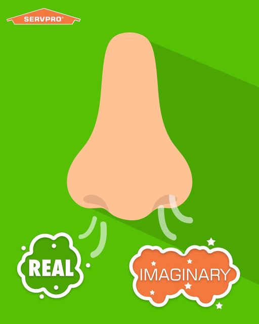 Did you know there are 2️⃣ odor types? We classify them as Real and Imagined.
1️⃣ Real odor is the sensation of smell caused by a real substance.
2️⃣ Imaginary odor is what people think they smell.
If you've experienced an Imaginary odor, tell us what it was!