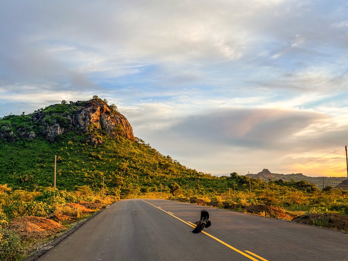 Ministry of Works & Transport tweet media