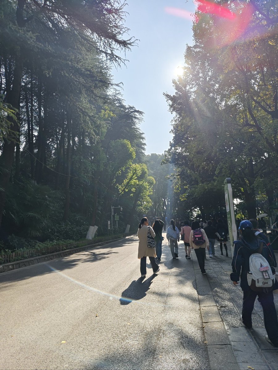 r/BrightonHoveAlbion tweet media