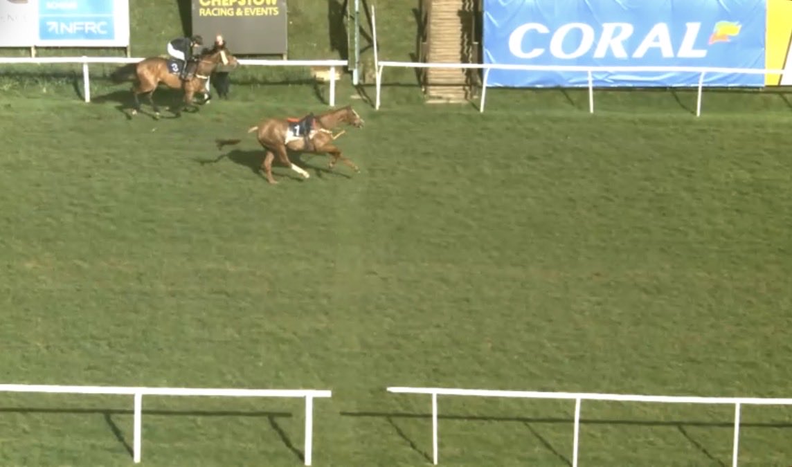 the racing newsletter tweet media