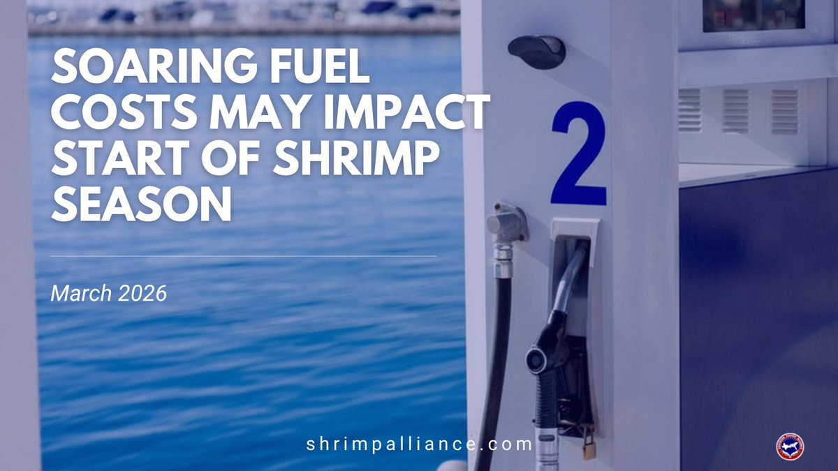 ShrimpAlliance's tweet image. ⛽ #Diesel hit $5.37/gal in March — a 54% spike in less than 90 days.

For American shrimpers, that's around $50,000 in fuel before a boat leaves the dock. With the season opening in May and June, fuel prices could prevent shrimpers from accessing the sustainable #shrimp stocks.