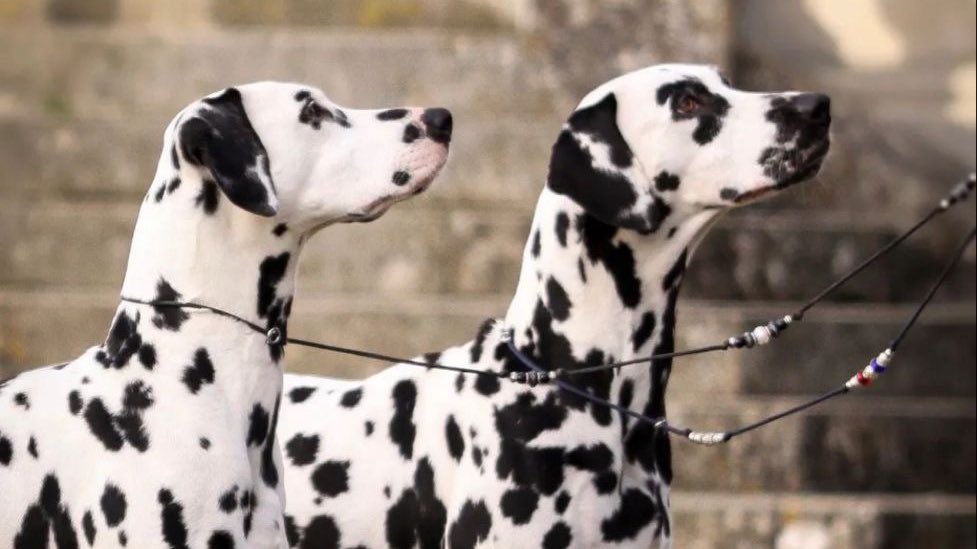 ℛ (@whosvirgomoodb) on Twitter photo 