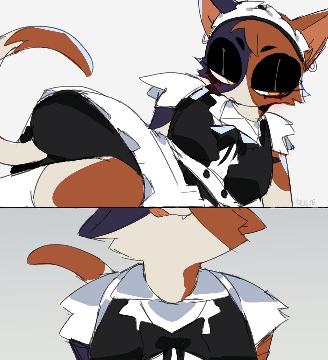 ✦ VALKYRIE tweet media