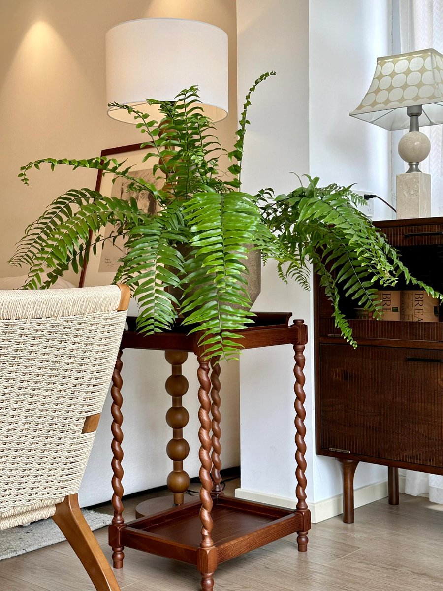 ひとみ, ヒトミ tweet media