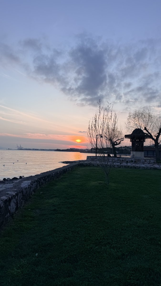 maviyeliz tweet media