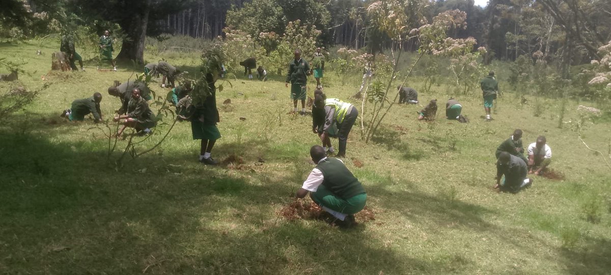 NACADAKenya's tweet photo. 🌱 Growing Forests & Growing Minds in Elgeyo Marakwet! 🌱

We joined Holy Rosary Singore Girls Senior School—where part of the compound is already a thriving small forest—for a tree planting activity.

Our mission:
🌳 Promote climate action & conservation
🎓 Enable responsible, disciplined students
🧘‍♀️ Enhance mental wellbeing & stress reduction
Nurturing nature = Nurturing minds. 💚