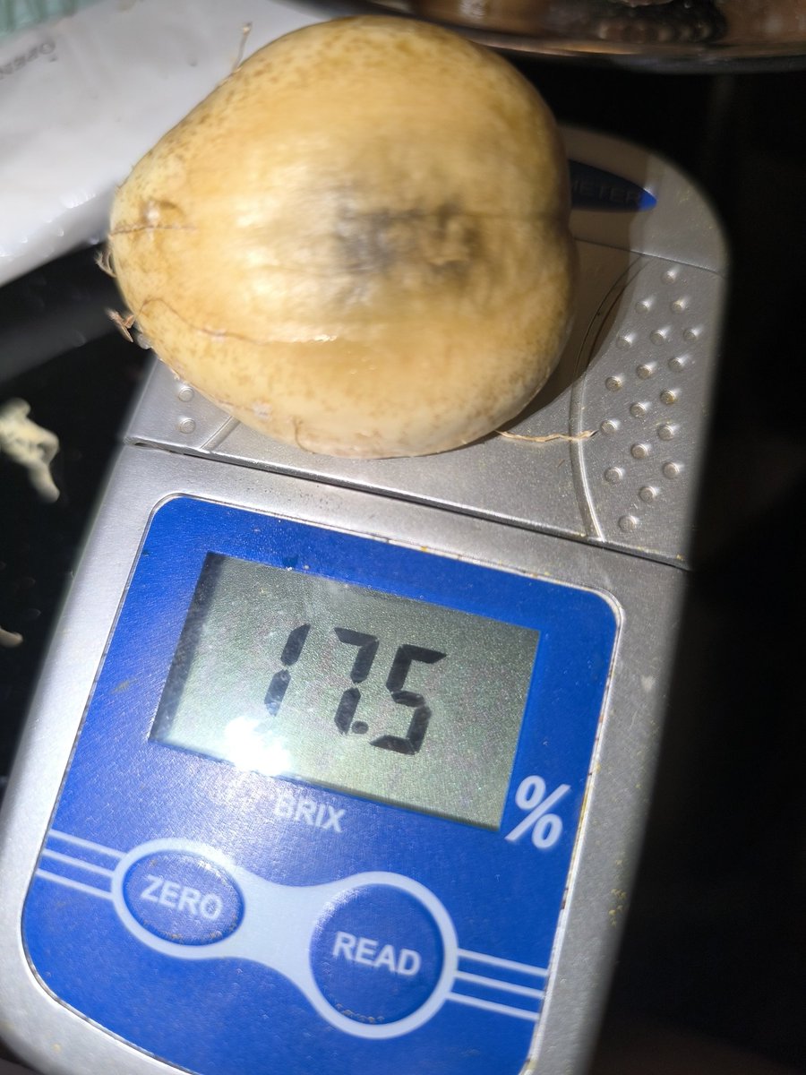 大魔王マッド菜園ティストHI-D tweet media