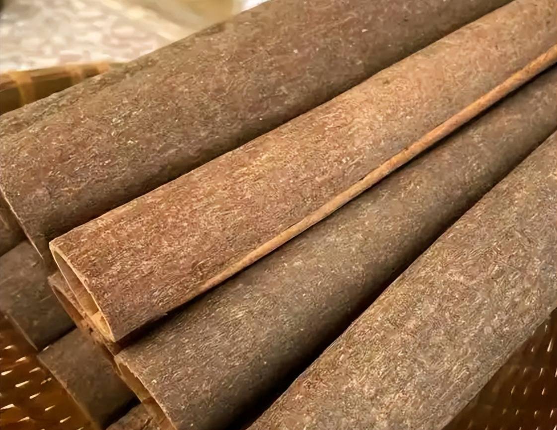 lydialawrence tweet media