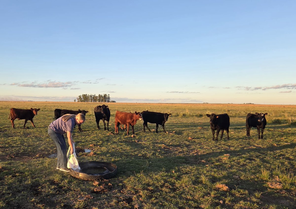 Plan Agropecuario tweet media