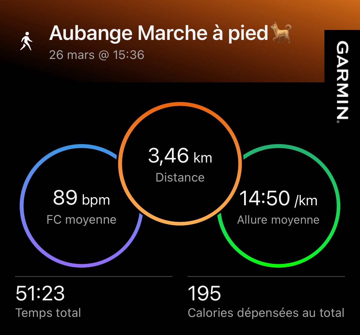 Didier FLECHE 🇧🇪🏊‍♂️🚴‍♂️🏃🏻‍♂️ tweet media