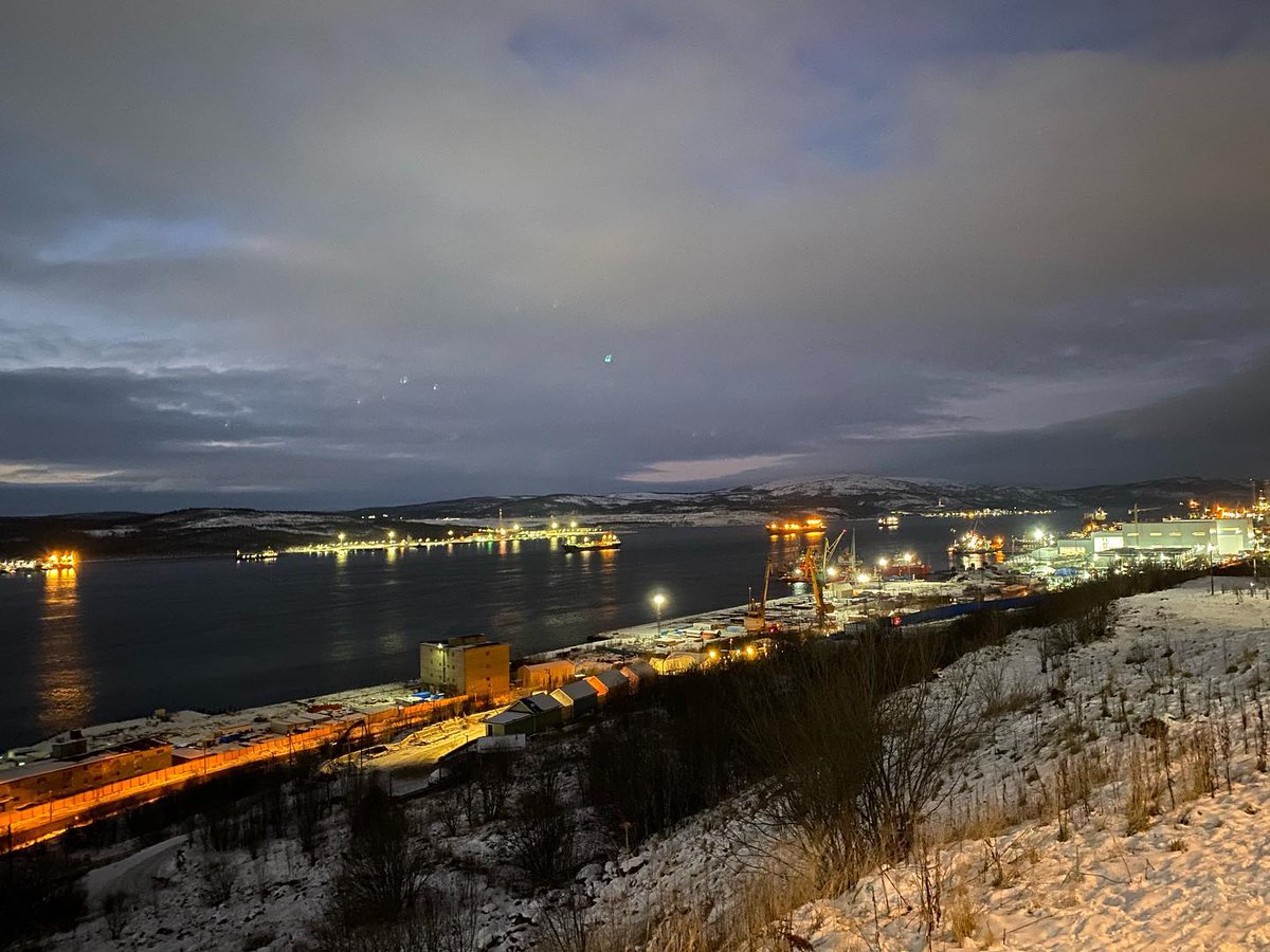 Olivia Rose tweet media