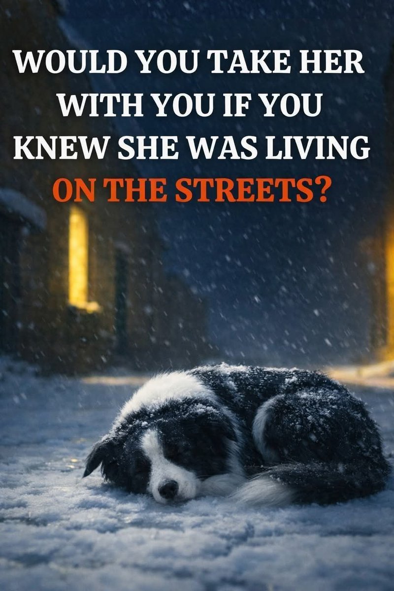 Elizabeth❣️ tweet media